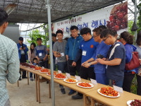 시후아빠체리농장