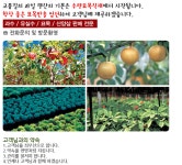 유정농원저온창고
