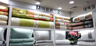 대백이불