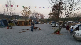 Foto aus Naver-Suchergebnissen 6