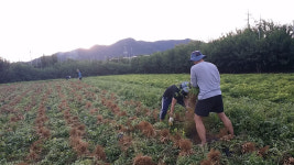 황산윤가네농장
