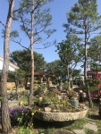 지리산 바우덕이