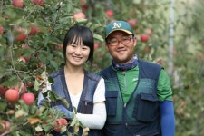 호야네 애플파파 농장