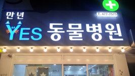 만년YES동물병원