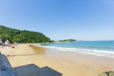 파티오펜션