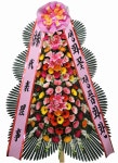 월드플라워
