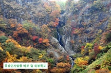 동상면사람들