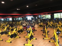 더라인휘트니스 신곡점