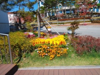 대평농장