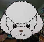 살구펫
