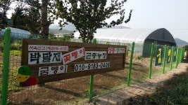 박달재곤충농장