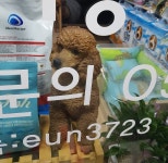 살구펫