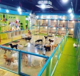 애견호텔몽이네맡겨보시개