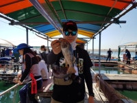 낚시타운좌대낚시