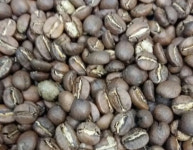 서지연 로스터리 /시흥카페하루