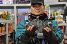 덕신낚시뱅크