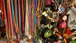 개날라리 가정점