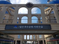 일산호수공원가로수길