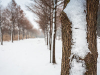 소모홀딩스엔테크놀러지제주농산