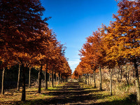 소모홀딩스엔테크놀러지제주농산