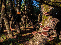 소모홀딩스엔테크놀러지제주농산