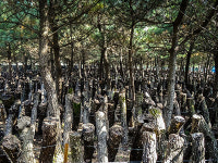 소모홀딩스엔테크놀러지제주농산