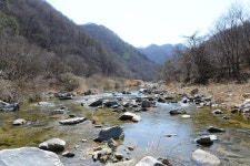 반디하우스 캠핑장