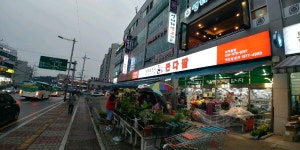 판다팜 퇴계원점