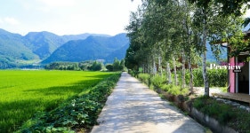 새들의아침펜션