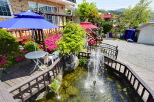 연못이 있는 풍경