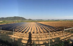 강화도주빈농장