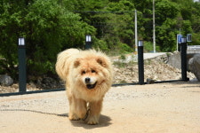 춘향이와방자펜션