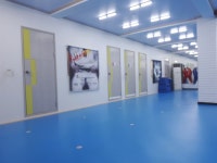 용인대석사 대호 태권도