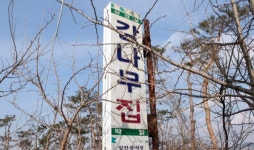 감나무집농원