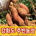 강화도주빈농장
