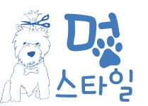 멍스타일