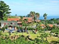 중문통나무펜션리조트