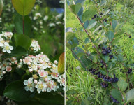 농업회사법인푸실팜