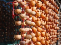 산양1리마을회관