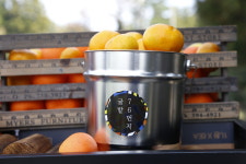 낭만농장 귤밭76번지