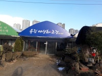 유진야생화조경