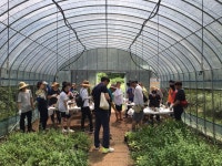 의신베어빌리지