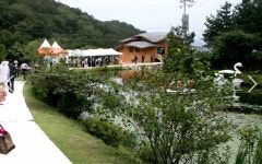 꽃피는산골