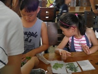 수정고흥명천바다목장마을