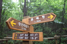 곰배령주니네