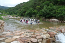 솔향기펜션