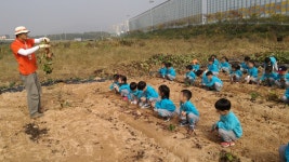 새말햇살농장