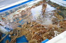 기장대게할인마트 광안점