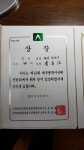 대양월드여행사주 | 대양철학관