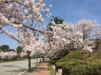 서울전세버스협동조합